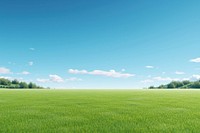 Grass backgrounds landscape outdoors. 