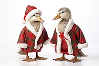 Christmas costume animal bird. 