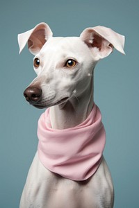 Dog portrait clothing apparel. 