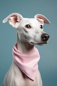 Dog portrait clothing apparel. 