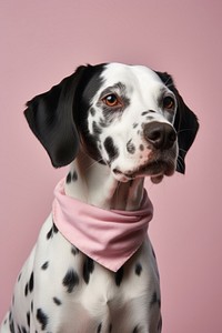 Dog portrait clothing apparel. AI generated Image by rawpixel.
