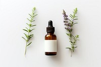 Lavender perfume bottle plant. AI generated Image by rawpixel.