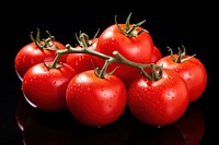 Tomato vegetable fruit plant. 