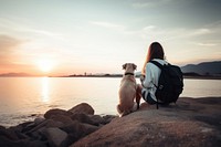 Dog outdoors backpack sitting. AI generated Image by rawpixel.
