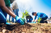 Planting outdoors gardening volunteer. 