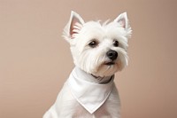 Dog terrier mammal animal. AI generated Image by rawpixel.