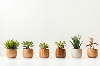 Plant order vase wood. AI generated Image by rawpixel.