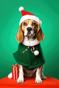 Beagle dog christmas portrait. AI generated Image by rawpixel.