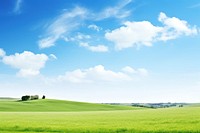 Landscape grassland outdoors horizon. 