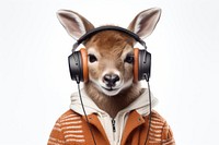 Headphones portrait headset mammal. 