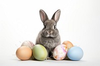 Animal mammal rodent easter. AI generated Image by rawpixel.