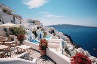 Santorini plant sunny day. 