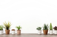 Plant windowsill table wood. 