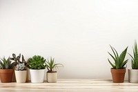 Plant windowsill table wood. 