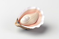 Oyster clam invertebrate accessories. AI generated Image by rawpixel.