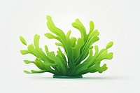 Seaweed plant green leaf. AI generated Image by rawpixel.