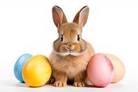 Rodent mammal animal easter. AI generated Image by rawpixel.