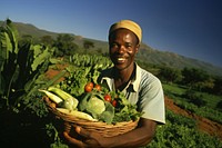 Farm agriculture harvesting gardening. 