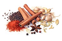 Spice food white background ingredient. 