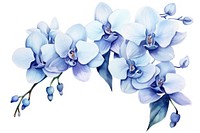 Flower orchid blossom plant. AI generated Image by rawpixel.