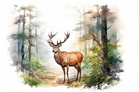 Forest wildlife outdoors animal. AI generated Image by rawpixel.