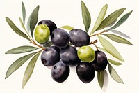 Olive fruit plant food. AI generated Image by rawpixel.