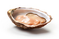 Oyster seafood shell clam. AI generated Image by rawpixel.