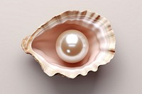 Jewelry oyster shell pearl. AI generated Image by rawpixel.