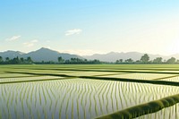 Field agriculture outdoors nature. 