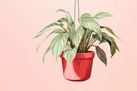 Plant leaf houseplant flowerpot. 