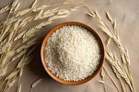 Rice plant grain food. AI generated Image by rawpixel.