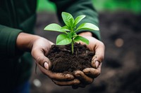 Outdoors plant soil gardening. AI generated Image by rawpixel.