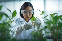 Scientist working on plant. 