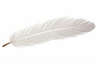 Feather white bird white background. AI generated Image by rawpixel.