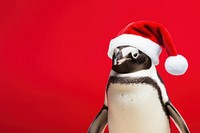 Penguin christmas portrait animal. 