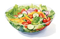 Vegetable salad food lettuce. 