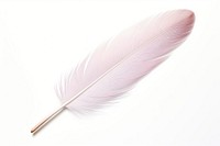 Feather white background lightweight fragility. AI generated Image by rawpixel.