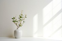 Windowsill flower plant white. 