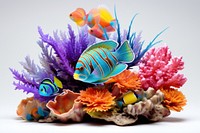 Coral reef fish aquarium nature animal. 