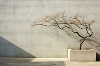 Tree architecture bonsai branch. 