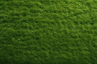 Grass texture plant