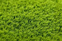 Grass backgrounds plant field. AI generated Image by rawpixel.