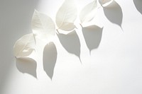 Petal plant white paper. AI generated Image by rawpixel.