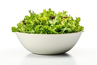 Bowl vegetable lettuce salad. 