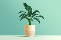 Plant vase leaf houseplant. 