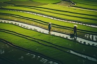 Field farm agriculture outdoors. 