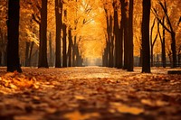 Autumn outdoors falling nature. AI generated Image by rawpixel.