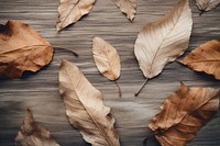 Wood backgrounds leaves plant. 