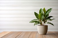 Table plant wood houseplant. AI generated Image by rawpixel.