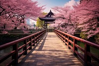 Architecture building outdoors blossom. 